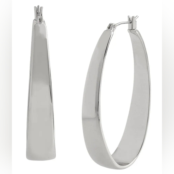 Thick Oval Hoop Earrings - Picture 1 of 4